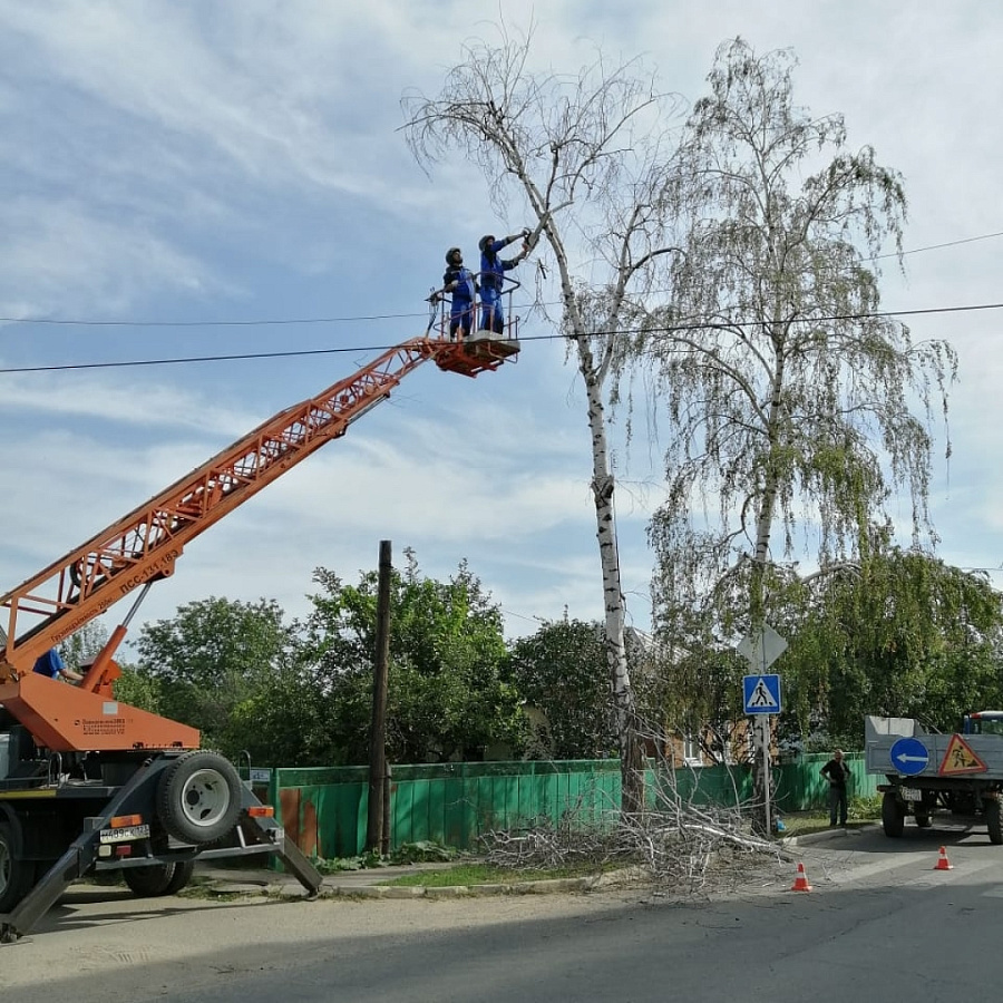 В Усть-Лабинске продолжаются работы по обрезке аварийных деревьев